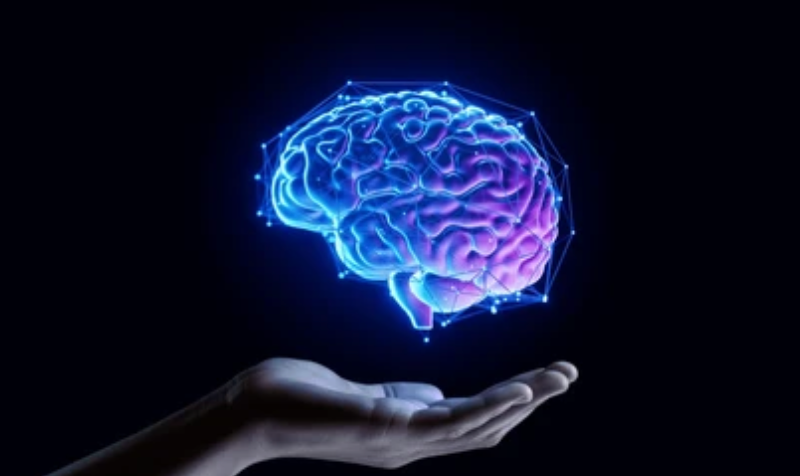 awakening brain showing to be held by a hand